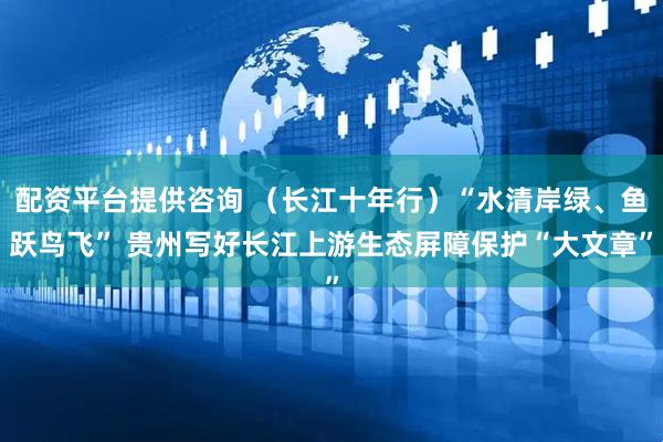 配资平台提供咨询 （长江十年行）“水清岸绿、鱼跃鸟飞” 贵州写好长江上游生态屏障保护“大文章”